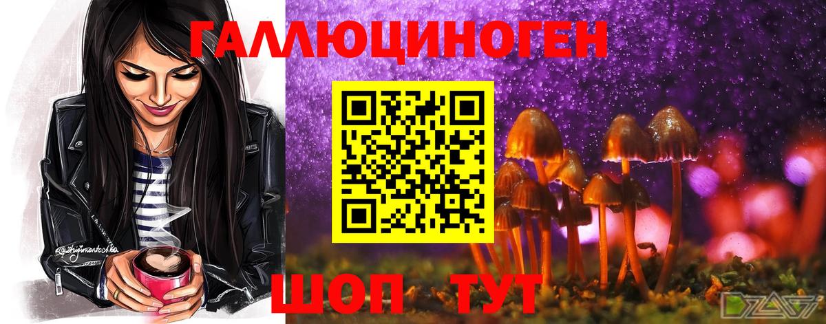 Галлюциногенные грибы прущие грибы  Вход с VPN  Новозыбков  Псилоцибиновые грибы мицелий 