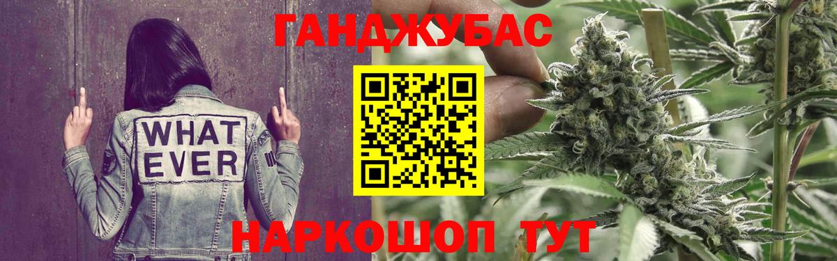 Новозыбков  Каннабис семена  Вход с VPN  Бошки марихуана White Widow  Канабис Amnesia  Шишки марихуана OG Kush 